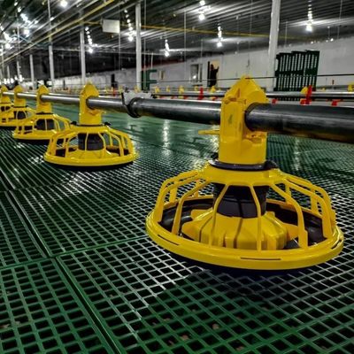 Volaille de conducteur de casserole de poulets de chair de plancher d'équipement d'élevage de poulet gavanized chaud