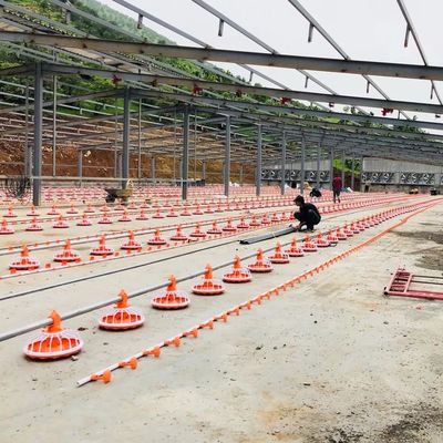 Système d'alimentation automatique 220V 380V pour volaille Dia 45mm