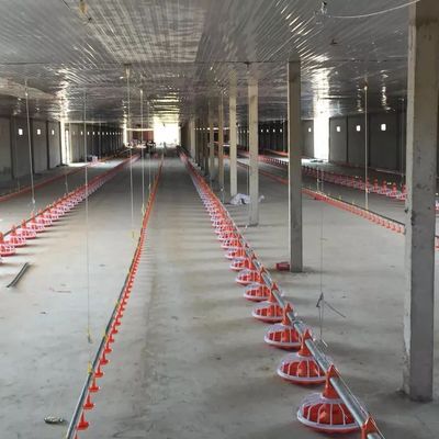 380V 50hz 3 équipements de ferme avicole de phases pour l'alimentation de poulets de chair de plancher