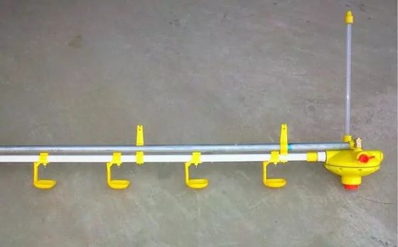 Abreuvoirs de mamelon durables pratiques pour l'usine de fabrication de poulets de chair
