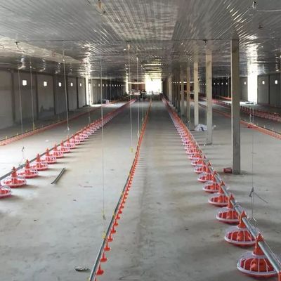 Diamètre galvanisé 45mm de système d'alimentation de casserole de machine d'élevage de volaille de tuyau