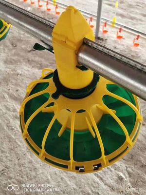 15 grille Poultry House Feed Pans Chicken Feed Pan pour poulets de chair