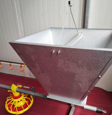 Ligne d'alimentation automatique pour poulets de chair/poulets/volailles