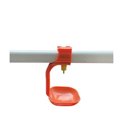 Système d'alimentation automatique de certification CE pour élevage de poulets et élevage de volailles