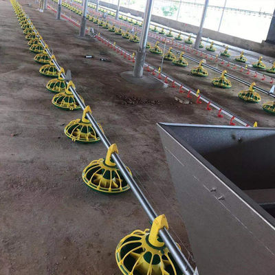 Ligne d'alimentation de poulet entièrement automatique 14/16 partitions 450 kg/h