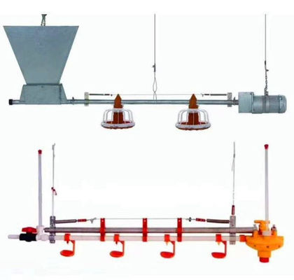 ligne d'alimentation complètement automatique du poulet 450kg/H avec le tuyau galvanisé par trémie