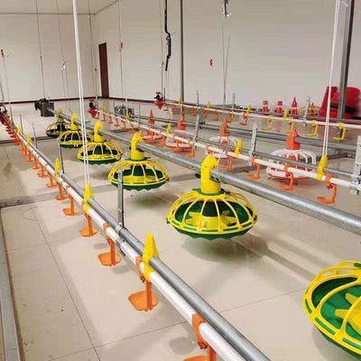 ligne d'alimentation complètement automatique du poulet 450kg/H avec le tuyau galvanisé par trémie