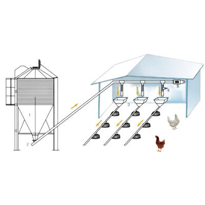 Système d'alimentation pour poulets HX de l'équipement d'élevage de poulets à griller 45-65