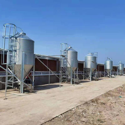 Silo de stockage de grain galvanisé par bacs d'alimentation agricole d'élevage