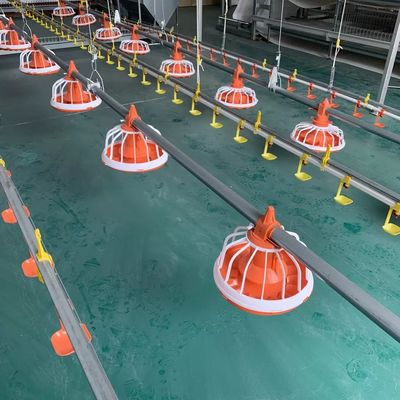 Conducteur automatique de volaille de Dia.25mm pour des poulets de chair 10 ans de durée