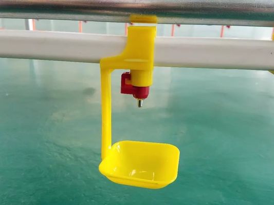 0.031kg/Pcs système d'abreuvoir de mamelon de poulet nettoyant facilement