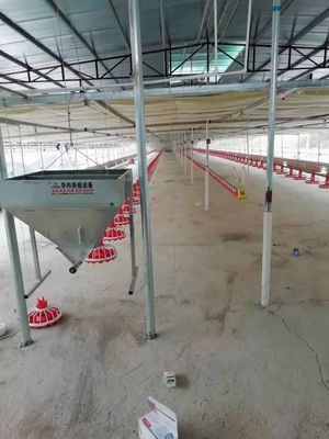 Machine de alimentation automatique en plastique de l'équipement 380v 0.75kw de ferme de volaille pour la volaille