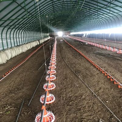 45-60 Poulet Poultry Farm Equipment 3 pan/3m Système d'alimentation de ferme avicole