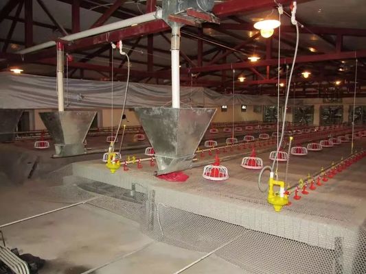 Installation facile d'équipement de volaille de poulet de certification de la CE