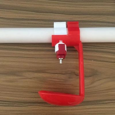 Abreuvoir automatique de mamelon de poulet 5-10 oiseaux 22*22mm conduite d'eau