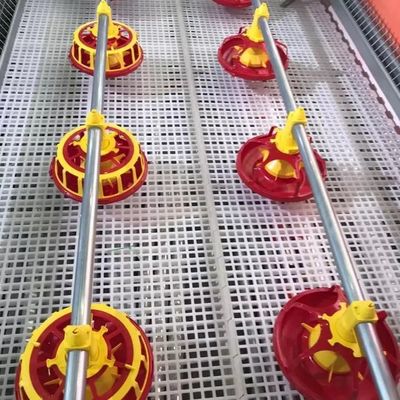 machine d'élevage de volaille de longueur de tuyau de 3m avec 10 ans de durée