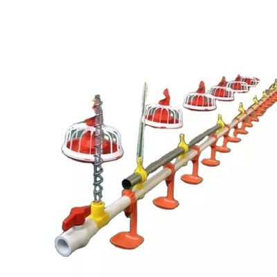 Système d'alimentation automatique de poulet de tuyau galvanisé longueur de tuyau de 3m