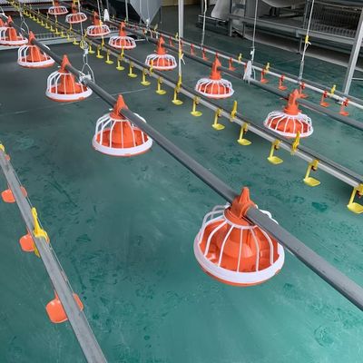Machine d'élevage de poulets à tuyaux galvanisés pour les produits de poulets de chair