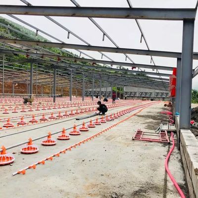 Acier galvanisé par machine d'élevage de volaille du diamètre 45mm pour des poulets de chair