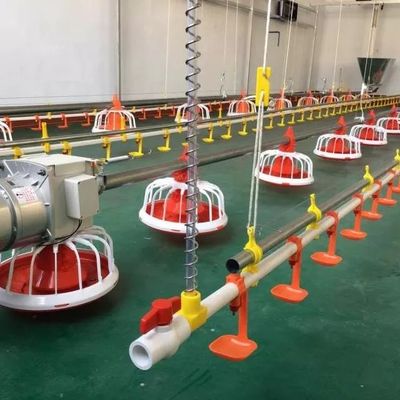 Plastique de système d'alimentation de poulets de chair de la grille 14 Grid 16 et acier galvanisé