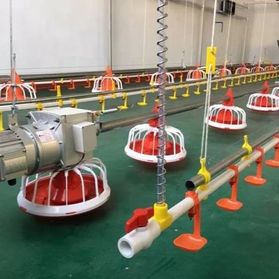 Conducteur automatique de volaille de l'équipement 30KG de ferme de volaille d'OEM pour le poulet de chair